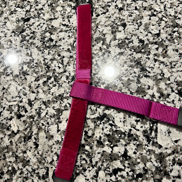 2 Hounds Design - No Pull Harness - Picture 5 of 10